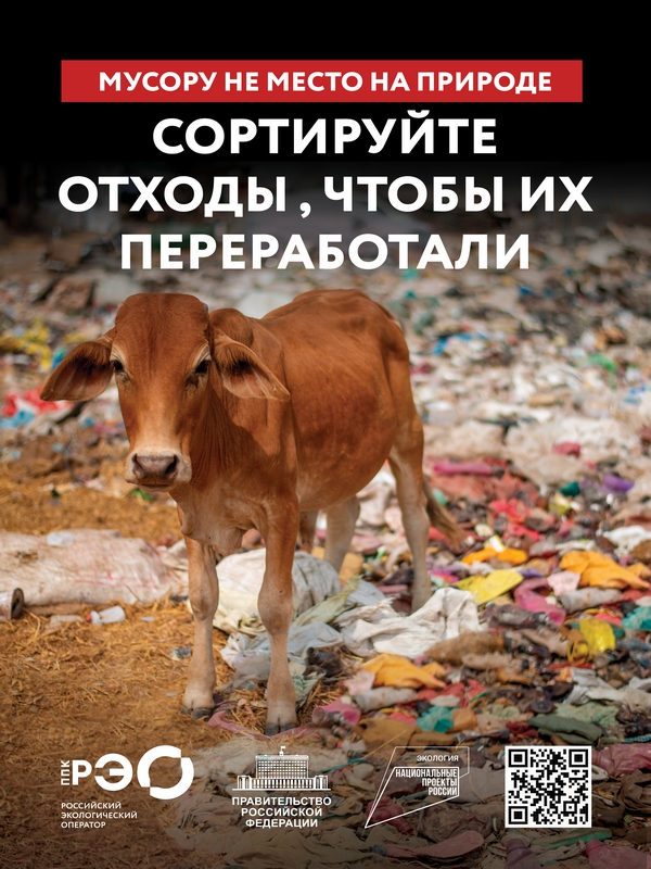 Раздел воспитательной работы «Экологическое воспитание».