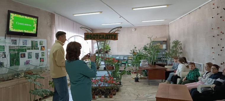 "Кактусы". .